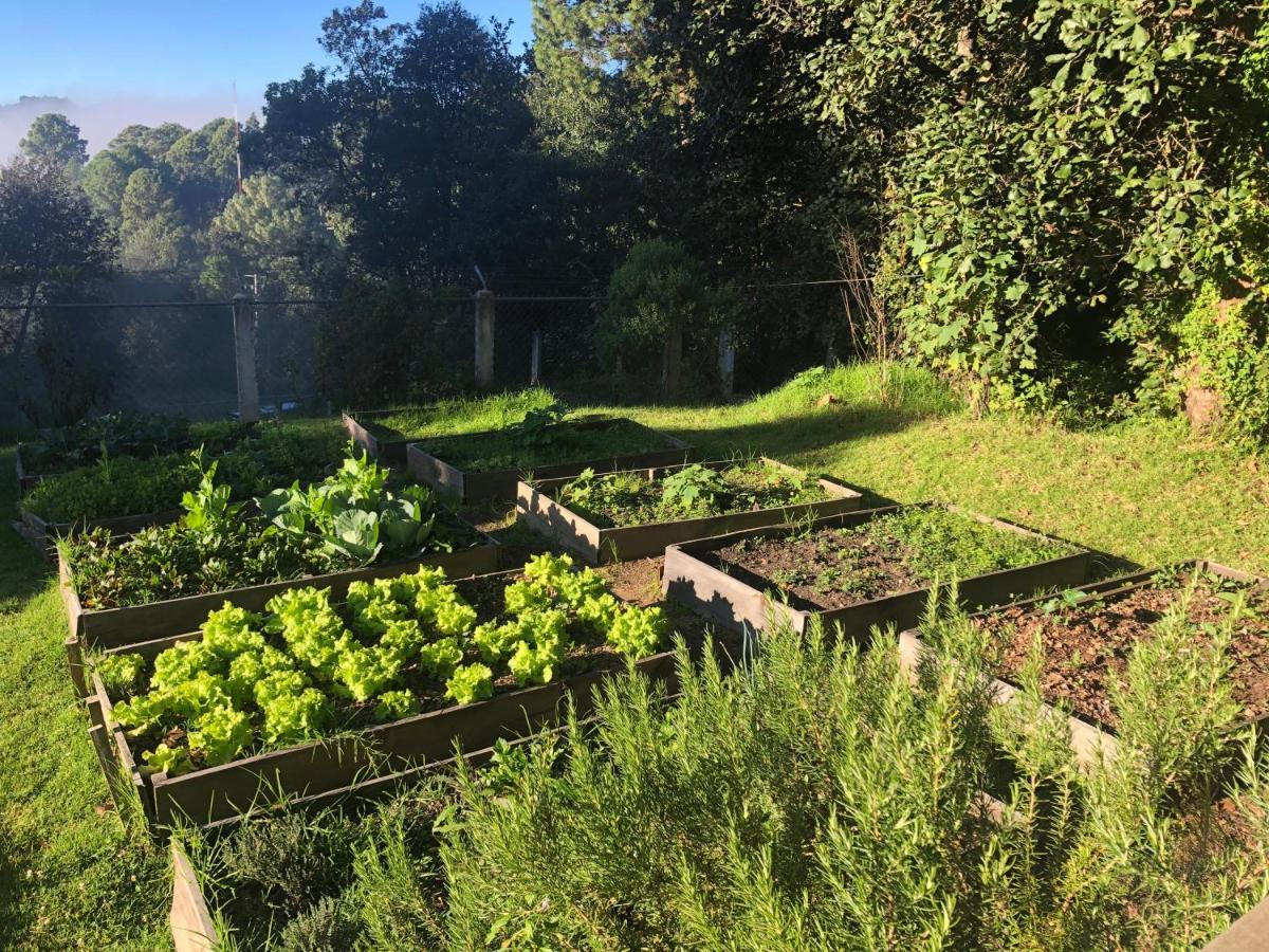 Gaia Nature Hotell San Cristóbal de Las Casas Eksteriør bilde