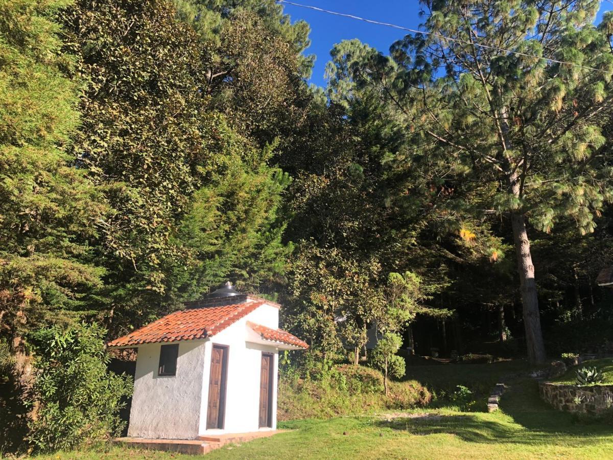 Gaia Nature Hotell San Cristóbal de Las Casas Eksteriør bilde