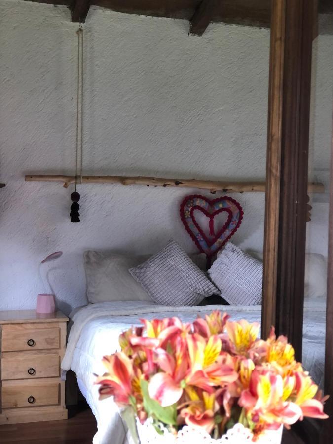 Gaia Nature Hotell San Cristóbal de Las Casas Eksteriør bilde